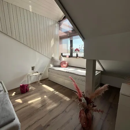 Apartament Moderne Mit Dachterrasse *